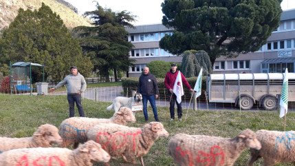 Haute-Provence : les syndicats agricoles débutent leurs actions coup de poing ce mercredi