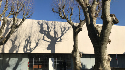 Haute-Provence : militantes opposées au projet Boralex à Cruis, l’audience renvoyée au 5 décembre Haute-Provence : militantes opposées au projet Boralex à Cruis, l’audience renvoyée au 5 décembre