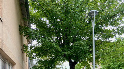 Haute-Provence : on illumine moins mais mieux à Digne les Bains Haute-Provence : on illumine moins mais mieux à Digne les Bains