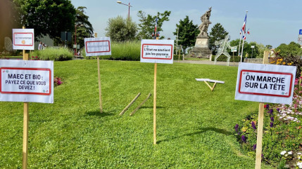 Haute-Provence : opération coup de poing des agriculteurs