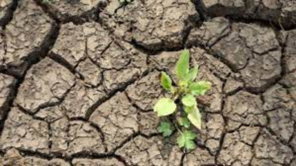 Haute-Provence : reconnaissance de l’état de catastrophe naturelle pour trois communes du territoire Haute-Provence : reconnaissance de l’état de catastrophe naturelle pour trois communes du territoire