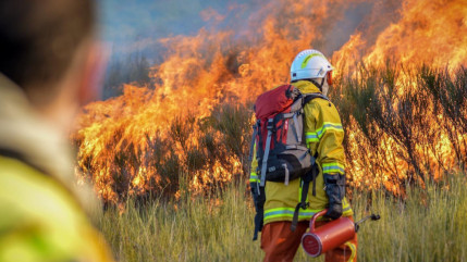 Haute-Provence : un feu de forêt en cours sur Omergues Haute-Provence : un feu de forêt en cours sur Omergues