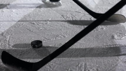 Hautes-Alpes : belle victoire pour les Rapaces Hautes-Alpes : belle victoire pour les Rapaces