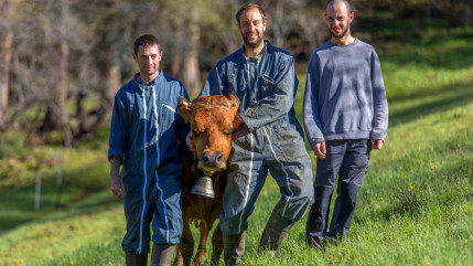 Hautes-Alpes : de l’or pour les prairies du Val d’Arvieux