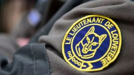 Hautes-Alpes : des lieutenants de louveterie recherchés sur le territoire