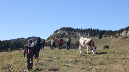 Hautes-Alpes : deux médiatrices pastorales au Monêtier les Bains Hautes-Alpes : deux médiatrices pastorales au Monêtier les Bains