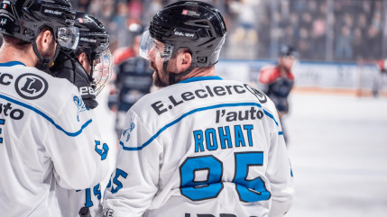 Hautes-Alpes : faux pas interdit pour les Rapaces de Gap Hautes-Alpes : faux pas interdit pour les Rapaces de Gap