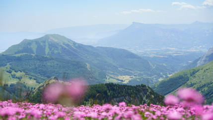 Hautes-Alpes : l’office de tourisme Gap Tallard Vallées veut votre avis pour un tourisme vertueux Hautes-Alpes : l’office de tourisme Gap Tallard Vallées veut votre avis pour un tourisme vertueux