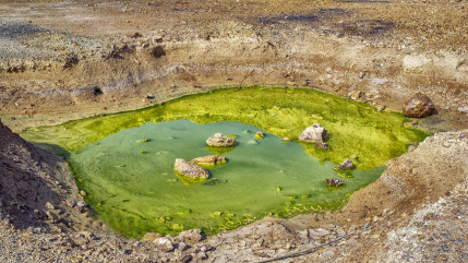 Hautes-Alpes : la Confédération paysanne appelle à la mobilisation contre la plateforme de boues urbaines à Sorbiers Hautes-Alpes : la Confédération paysanne appelle à la mobilisation contre la plateforme de boues urbaines à Sorbiers