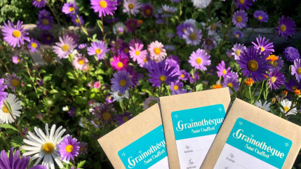 Hautes-Alpes : la grainothèque reprend du service à Saint-Chaffrey