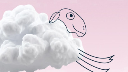 Hautes-Alpes : la Grande Évasion vagabonde au gré du Buëch Dévoluy