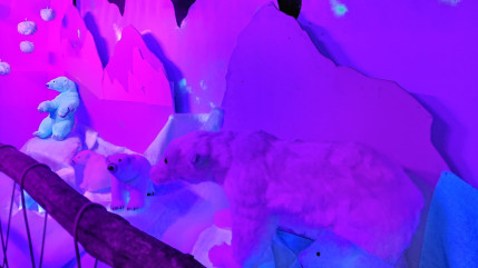 Hautes-Alpes : la magie de Noël s’installe dans le Pays des Écrins Hautes-Alpes : la magie de Noël s’installe dans le Pays des Écrins