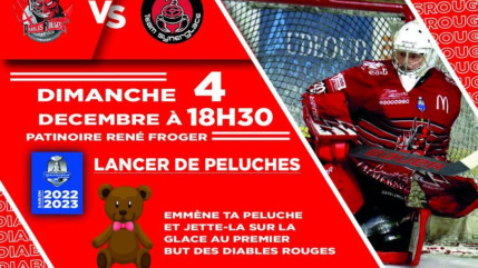 Hautes-Alpes : la patinoire René Froger reçoit les Scorpions de Mulhouse Hautes-Alpes : la patinoire René Froger reçoit les Scorpions de Mulhouse
