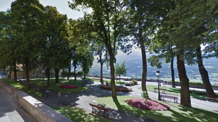 Hautes-Alpes : la ville d'Embrun va couper 18 arbres malades Hautes-Alpes : la ville d'Embrun va couper 18 arbres malades