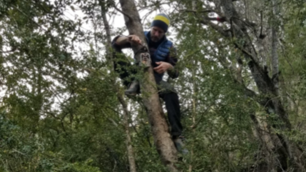 Hautes-Alpes : les bénévoles du réseau de suivi du loup sont de nouveau réunis Hautes-Alpes : les bénévoles du réseau de suivi du loup sont de nouveau réunis