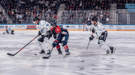 Hautes-Alpes : les Rapaces au révélateur du test angevin Hautes-Alpes : les Rapaces au révélateur du test angevin