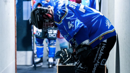 Hautes-Alpes : les Rapaces de Gap essuient une nouvelle défaite face à l'Hormadi Hautes-Alpes : les Rapaces de Gap essuient une nouvelle défaite face à l'Hormadi