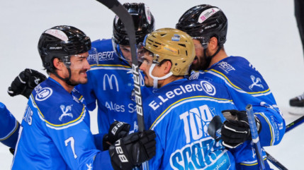 Hautes-Alpes : les Rapaces de Gap font tomber les Dragons de Rouen Hautes-Alpes : les Rapaces de Gap font tomber les Dragons de Rouen