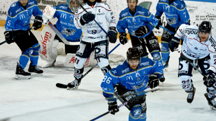 Hautes-Alpes : les Rapaces de Gap se sont inclinés hier soir face à Angers Hautes-Alpes : les Rapaces de Gap se sont inclinés hier soir face à Angers