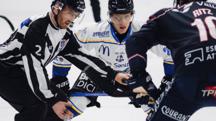 Hautes-Alpes : les Rapaces de Gap se sont inclinés hier soir face aux Ducs d'Angers Hautes-Alpes : les Rapaces de Gap se sont inclinés hier soir face aux Ducs d'Angers