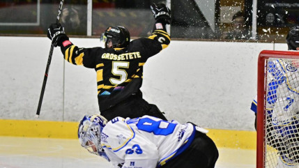 Hautes-Alpes : les Rapaces de Gap sortis de la Coupe de France par Chambéry Hautes-Alpes : les Rapaces de Gap sortis de la Coupe de France par Chambéry