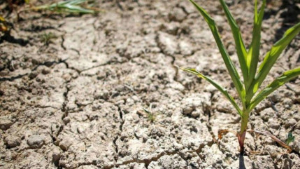 Hautes-Alpes : reconnaissance de l’état de catastrophe naturelle pour la commune de Valserres Hautes-Alpes : reconnaissance de l’état de catastrophe naturelle pour la commune de Valserres