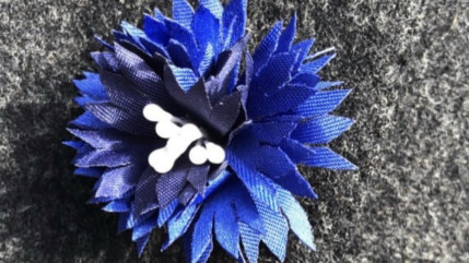 Hautes-Alpes : une petite fleur pour soutenir les soldats blessés, les veuves et les pupilles de la Nation Hautes-Alpes : une petite fleur pour soutenir les soldats blessés, les veuves et les pupilles de la Nation