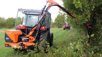 Interdiction de la taille des arbres et des haies: une d&eacute;rogation mise en place