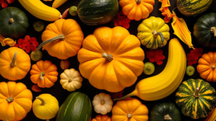 Jausiers célèbre les cucurbitacées ce dimanche Jausiers célèbre les cucurbitacées ce dimanche