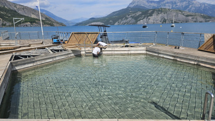 La piscine flottante de Rousset en pleine révision La piscine flottante de Rousset en pleine révision