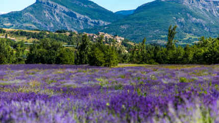 La saison estivale sous de bons auspices dans les Hautes-Alpes La saison estivale sous de bons auspices dans les Hautes-Alpes