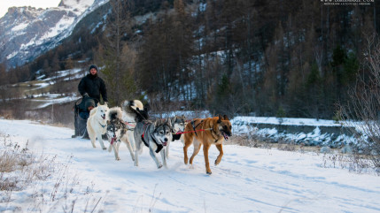 Le domaine nordique de Saint-Paul sur Ubaye devient un espace multi activités Le domaine nordique de Saint-Paul sur Ubaye devient un espace multi activités