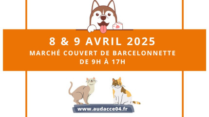 Le refuge animalier de la Vallée de l’Ubaye fait son vide-greniers mardi et mercredi