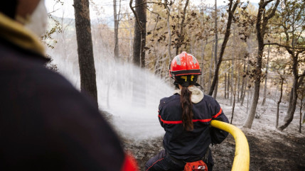 Le risque feux de forêt élevé dans les Alpes de Haute-Provence