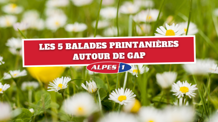 Les 5 balades printanières autour de Gap Les 5 balades printanières autour de Gap