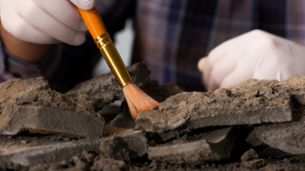 Les dernières avancées archéologiques bientôt dévoilées à Digne les Bains Les dernières avancées archéologiques bientôt dévoilées à Digne les Bains