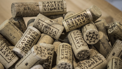 Les m&eacute;dailles commencent &agrave; pleuvoir au Concours G&eacute;n&eacute;ral Agricole