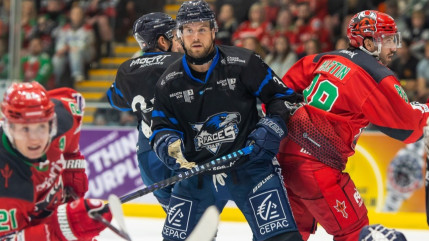 Les Rapaces de Gap lancent leur préparation avec une défaite au Pays de Galles