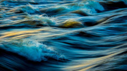 Loi Duplomb, une loi « délibérément écocide » pour la Fédération pour la Pêche