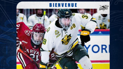 Luke Santerno intègre l'effectif des Rapaces de Gap