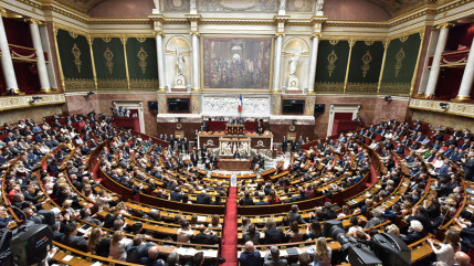 Motions de censure : quels sont les choix annoncés des députés des Alpes du Sud ? Motions de censure : quels sont les choix annoncés des députés des Alpes du Sud ?