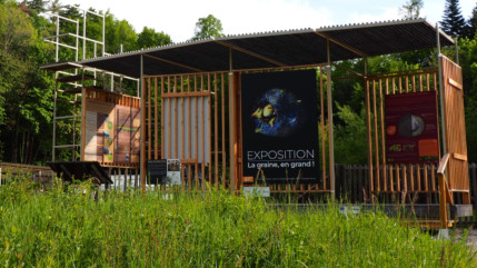 Observer la graine en très grand au jardin alpin de Gap-Charance