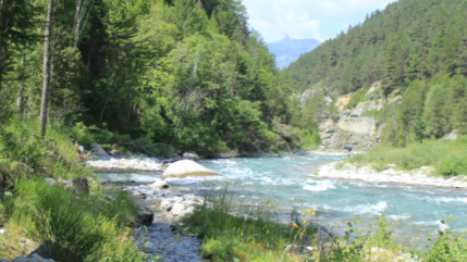 "On a tout intérêt à ce que les adous aillent bien" pour Vincent Duru, directeur de la fédération de la pêche 04 "On a tout intérêt à ce que les adous aillent bien" pour Vincent Duru, directeur de la fédération de la pêche 04