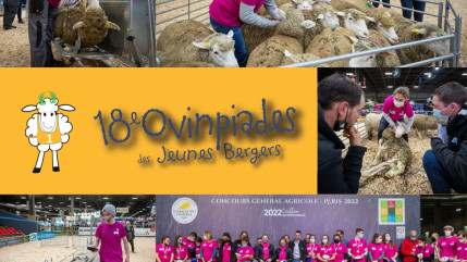 Région : qui sera le meilleur jeune éleveur de brebis au Chaffaut Saint-Jurson ?