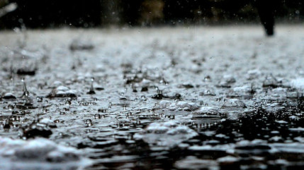 Région : un financement de récupérateurs d’eau de pluie pour les particuliers Région : un financement de récupérateurs d’eau de pluie pour les particuliers