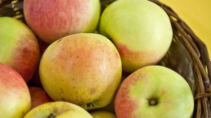 Région : un label pour promouvoir les produits régionaux et encourager une production responsable Région : un label pour promouvoir les produits régionaux et encourager une production responsable