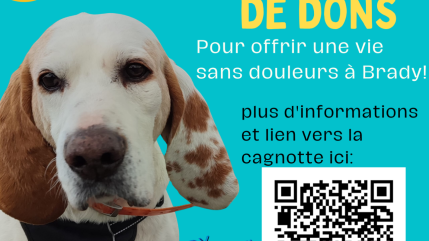 Sisteron-Nice à vélo, en une journée, pour la cause animale