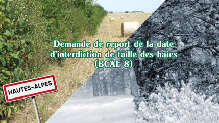 Taille des haies, JA et FDSEA 05 demandent un report