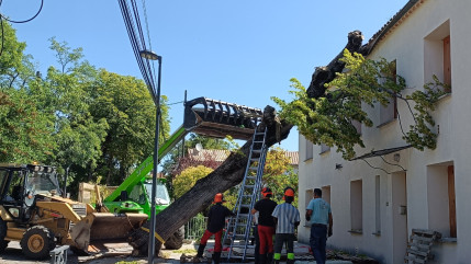 Un arbre chute sur un bâtiment à Forcalquier