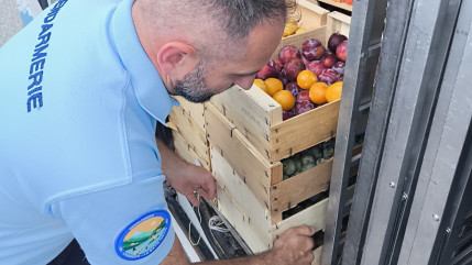 Un contrevenant de la route fait don de sa marchandise à une association de Chorges Un contrevenant de la route fait don de sa marchandise à une association de Chorges